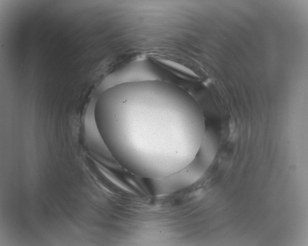 X0000075860764200609291548