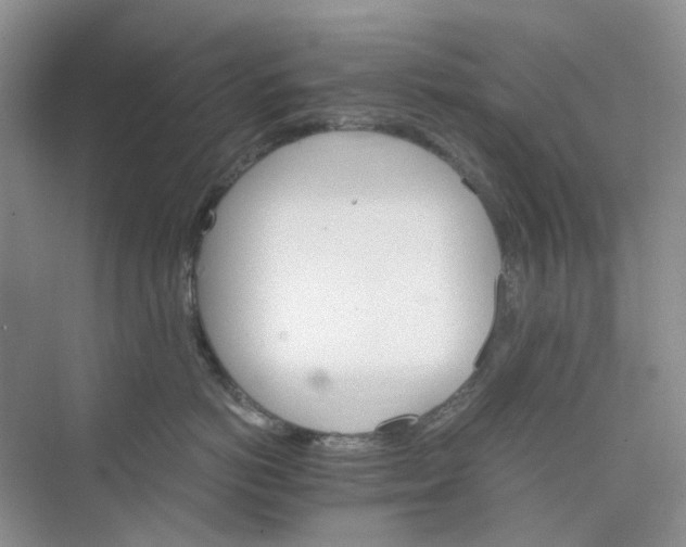 X0000075860766200609291548