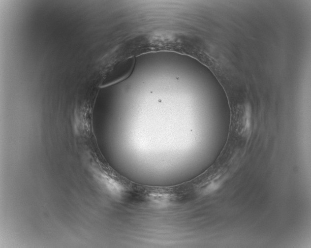 X0000075860770200609291547