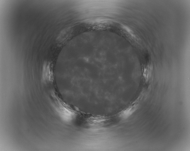 X0000075860771200609291547