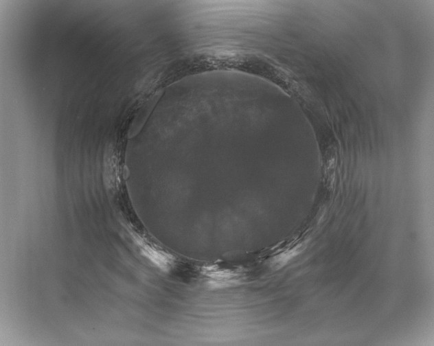 X0000075860772200609291547