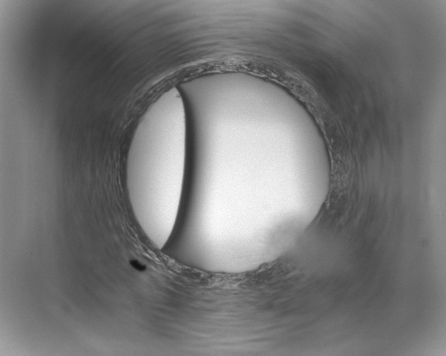 X0000075860773200609291547