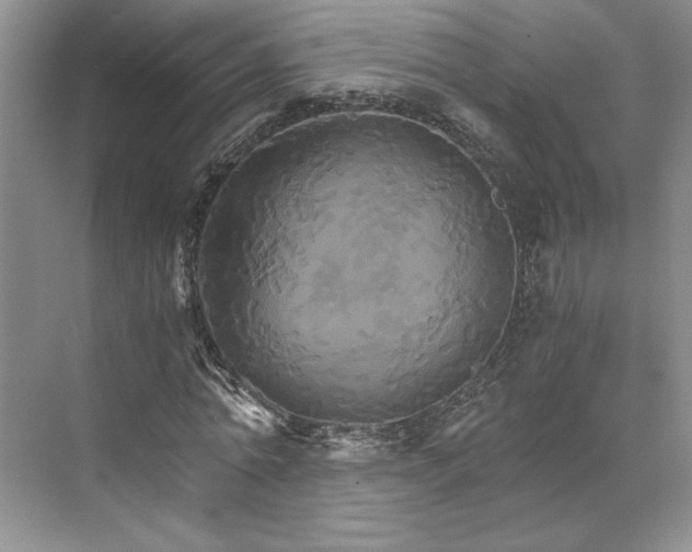 X0000075860774200609291547