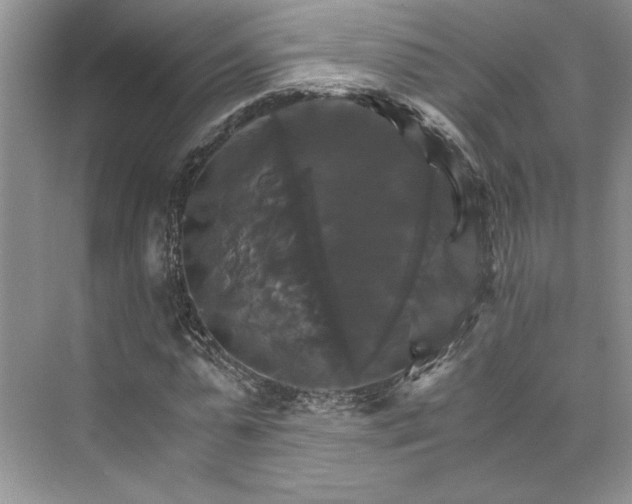 X0000075860775200609291547