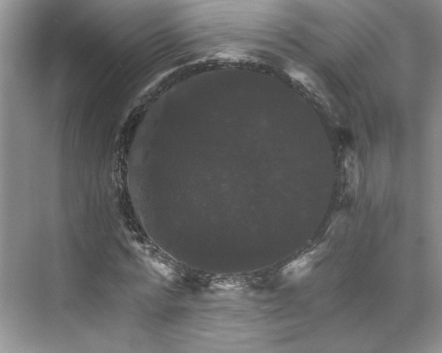 X0000075860776200609291547