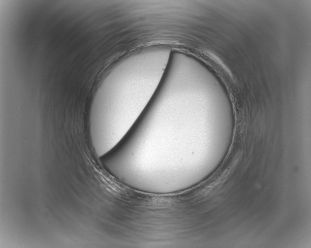 X0000075860777200609291547