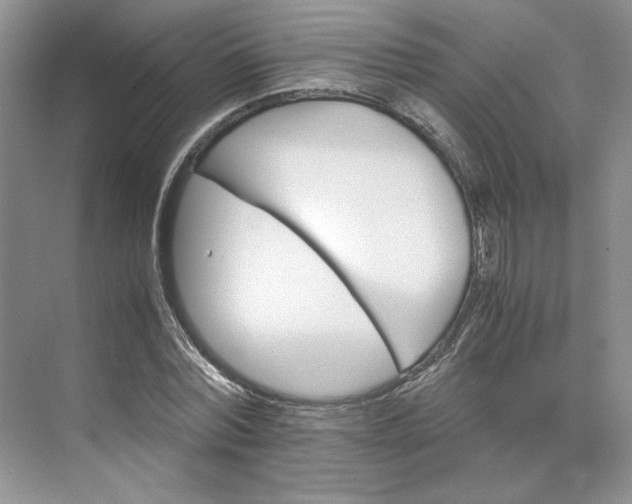 X0000075860780200609291547