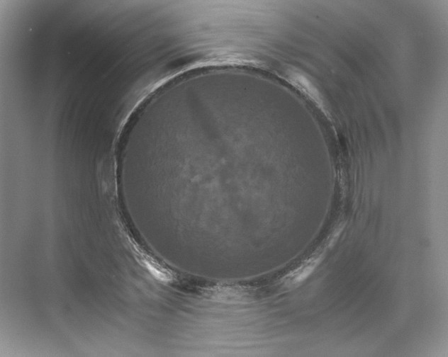 X0000075860781200609291547