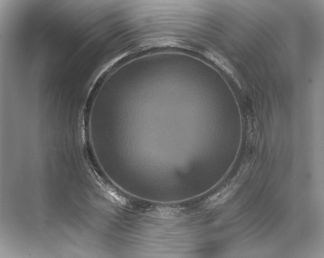 X0000075860782200609291547