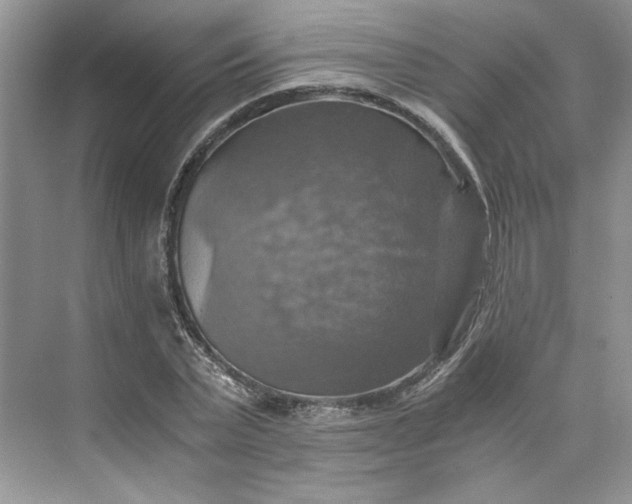 X0000075860783200609291547