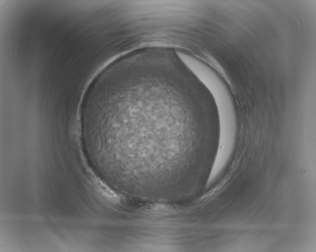 X0000075860787200609291547