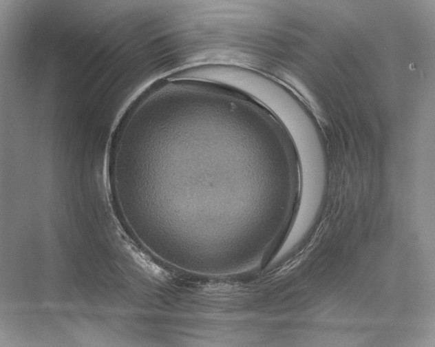 X0000075860788200609291547