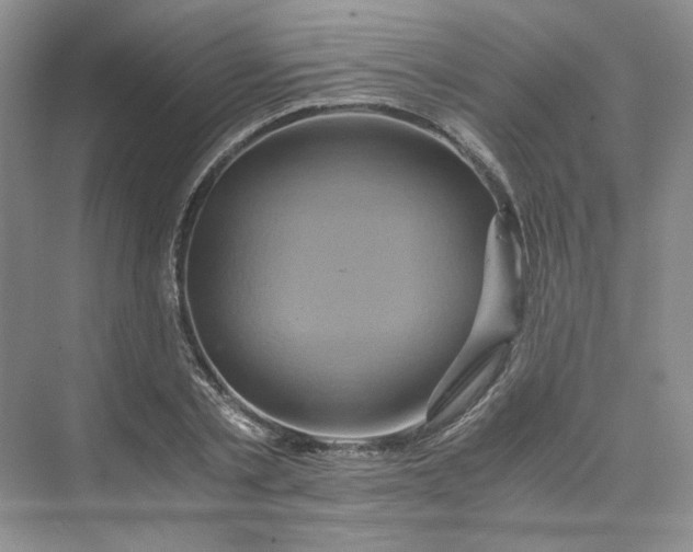 X0000075860789200609291547