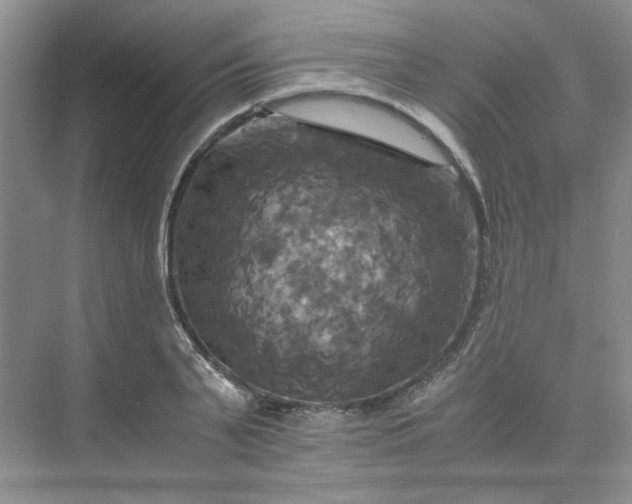 X0000075860791200609291546