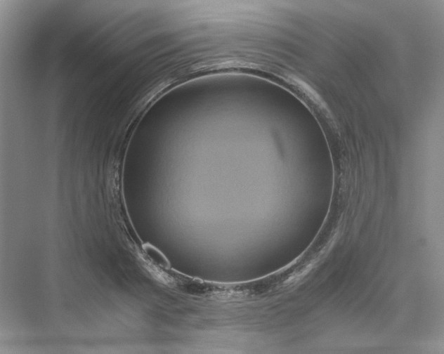 X0000075860793200609291546