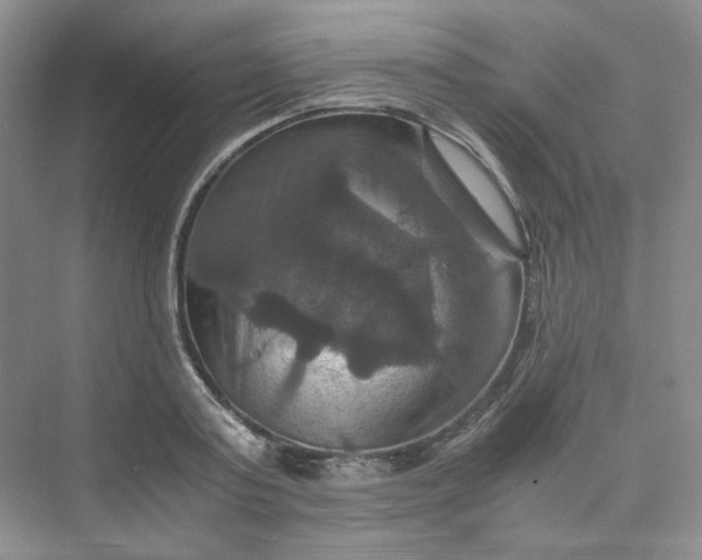 X0000075860795200609291546