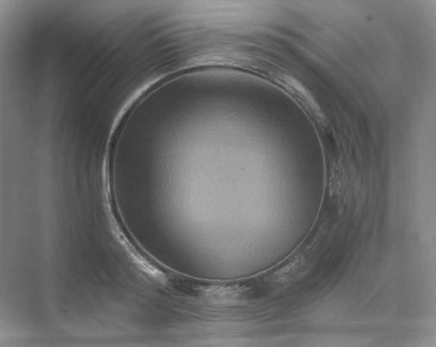 X0000075860796200609291546