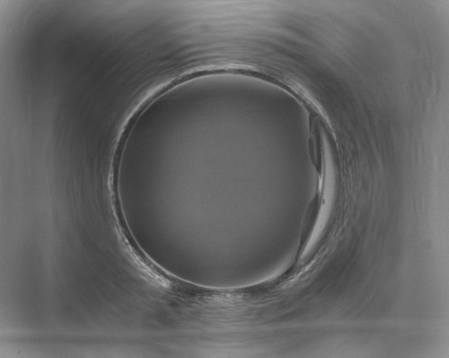 X0000075860797200609291546