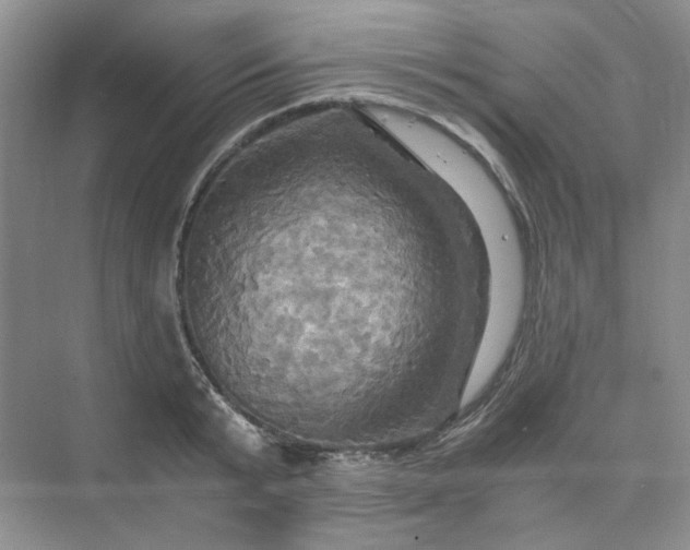 X0000075860799200609291546