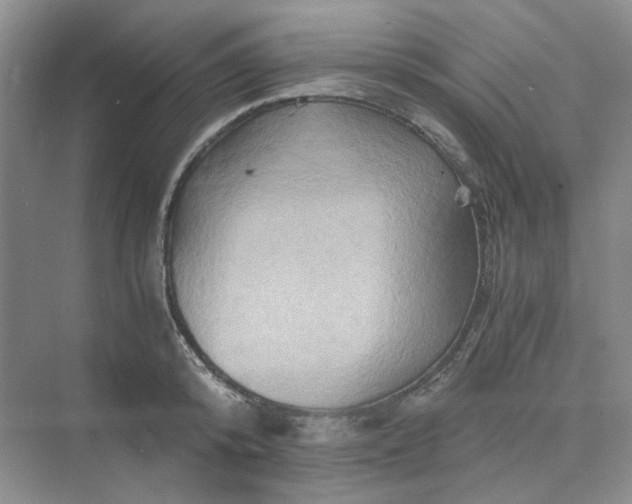 X0000075860800200609291546