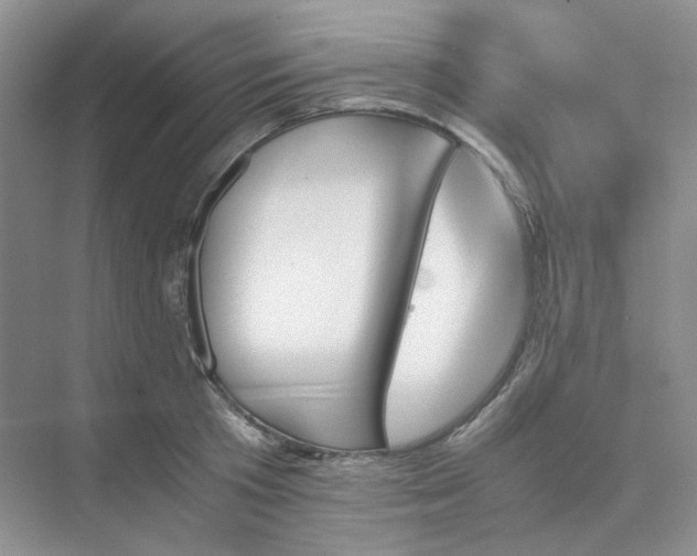 X0000075860801200609291546