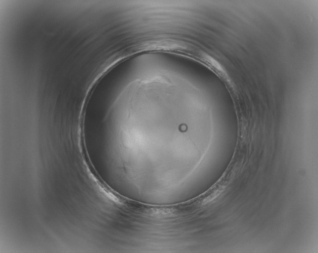 X0000075860802200609291546