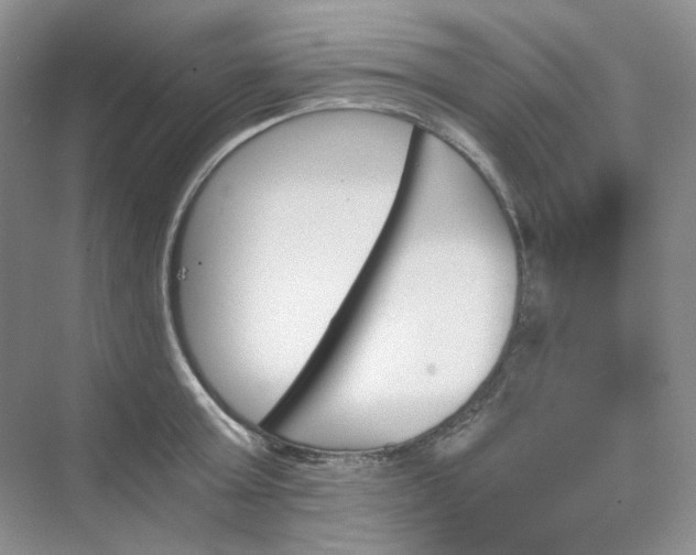 X0000075860803200609291546