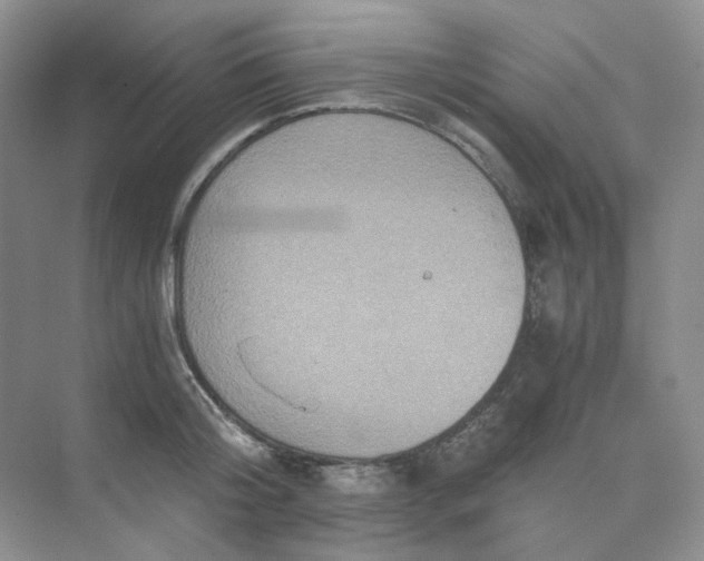 X0000075860804200609291546