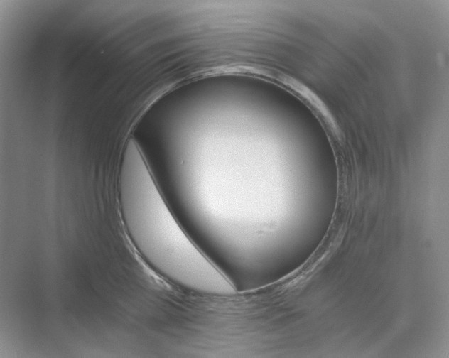 X0000075860809200609291546