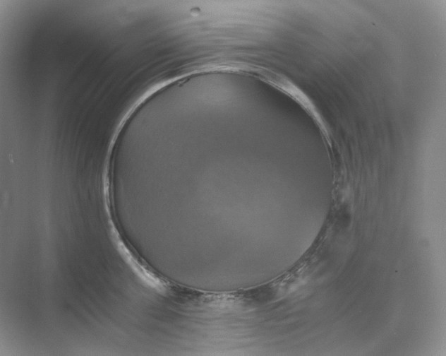 X0000075860811200609291546