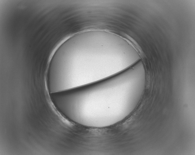 X0000075860812200609291546