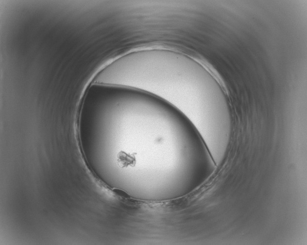 X0000075860813200609291546