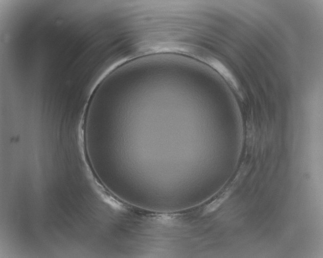 X0000075860814200609291546