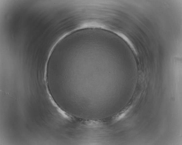 X0000075860815200609291546