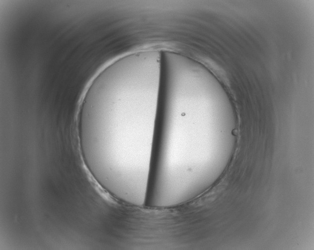 X0000075860816200609291546