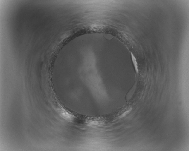 X0000075860817200609291545