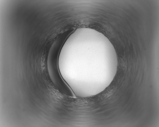 X0000075860818200609291545