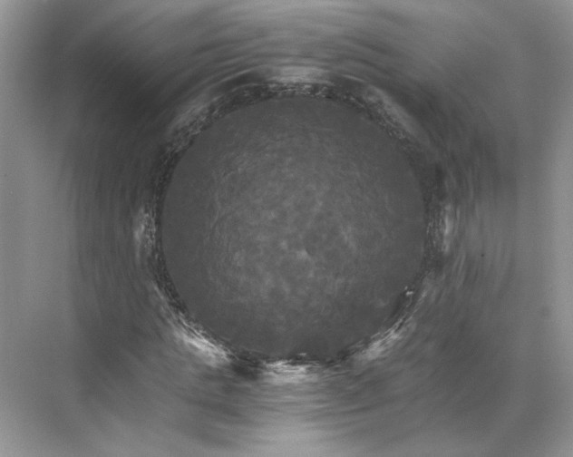 X0000075860821200609291545