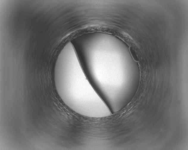 X0000075860822200609291545