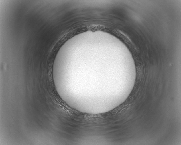 X0000075860823200609291545