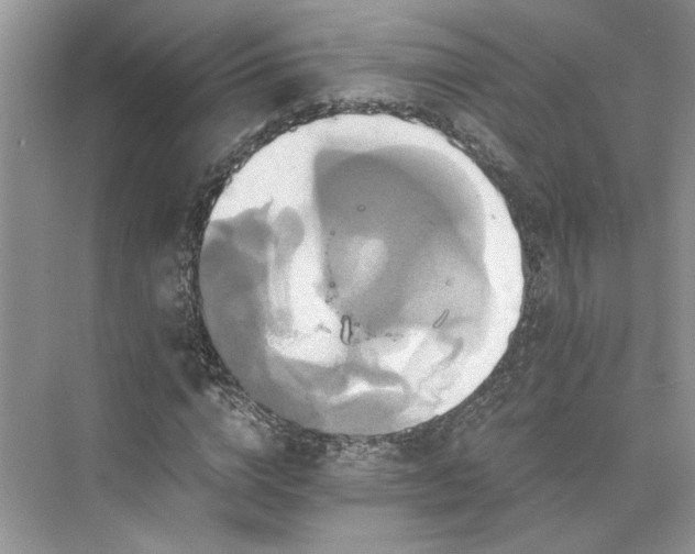 X0000075860824200609291545