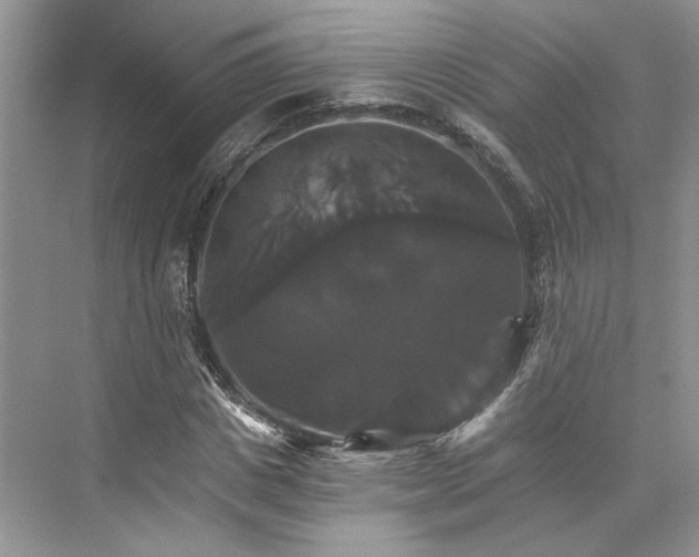 X0000075860825200609291545