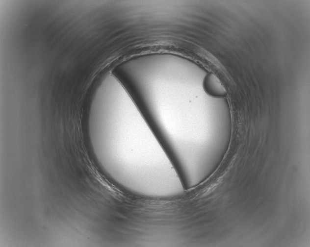 X0000075860826200609291545