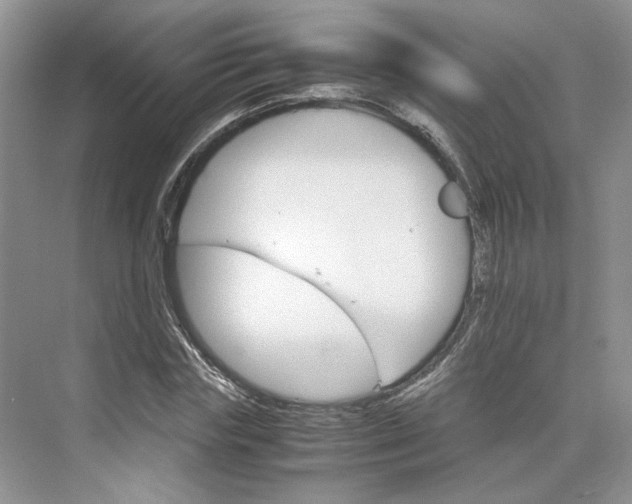 X0000075860827200609291545