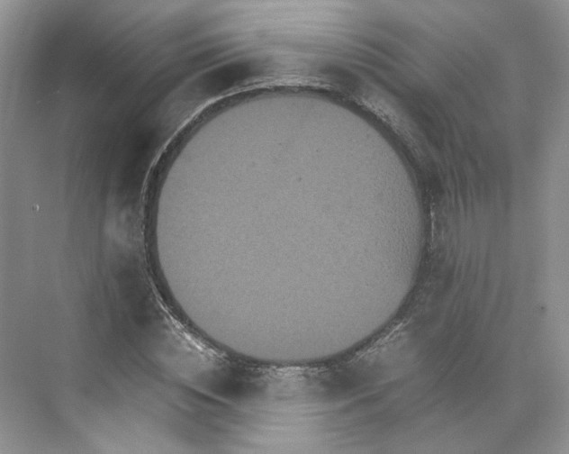 X0000075860828200609291545