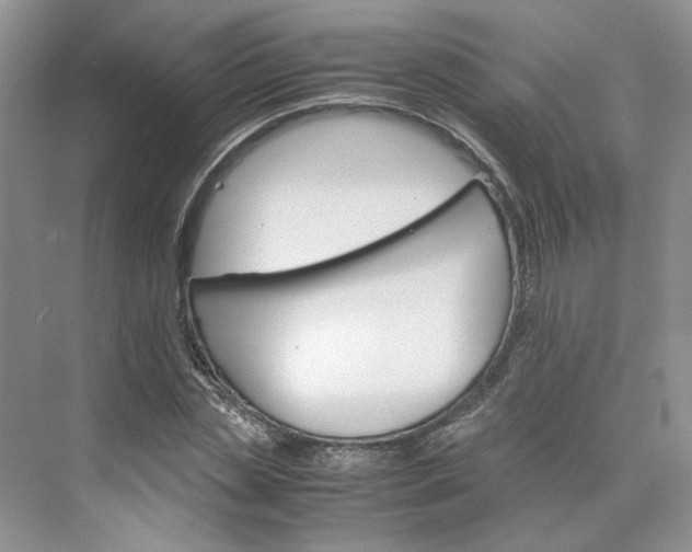 X0000075860829200609291545