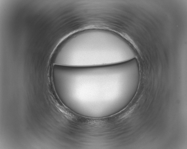 X0000075860830200609291545