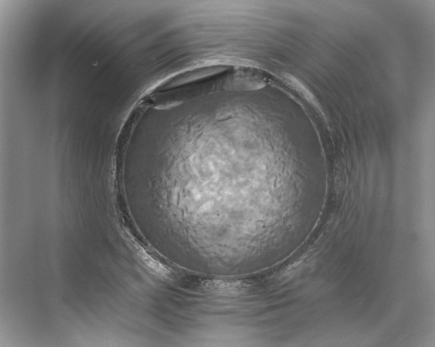 X0000075860831200609291546