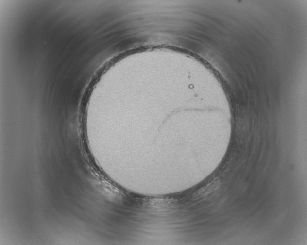 X0000075860832200609291546