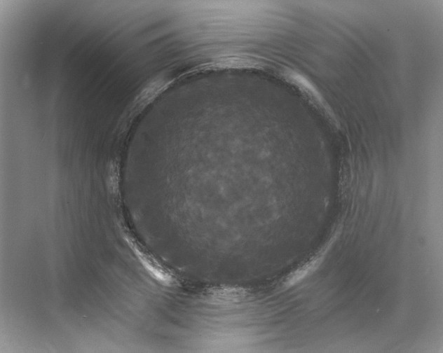 X0000075860833200609291546